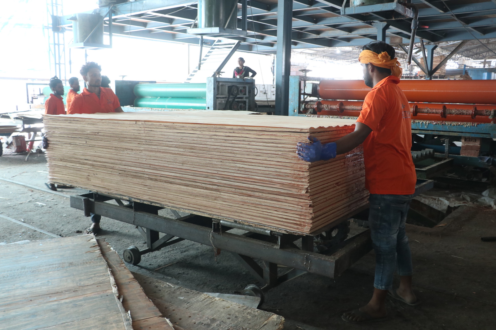 Plywood manufacturing